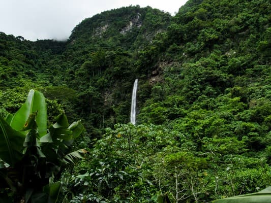 Quillabamba Travel - Cascada de Yanay