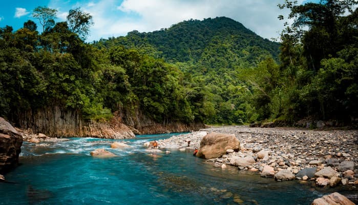 Quillabamba Travel - Río Yoguiato: el Río Turquesa del Santuario Nacional Megantoni