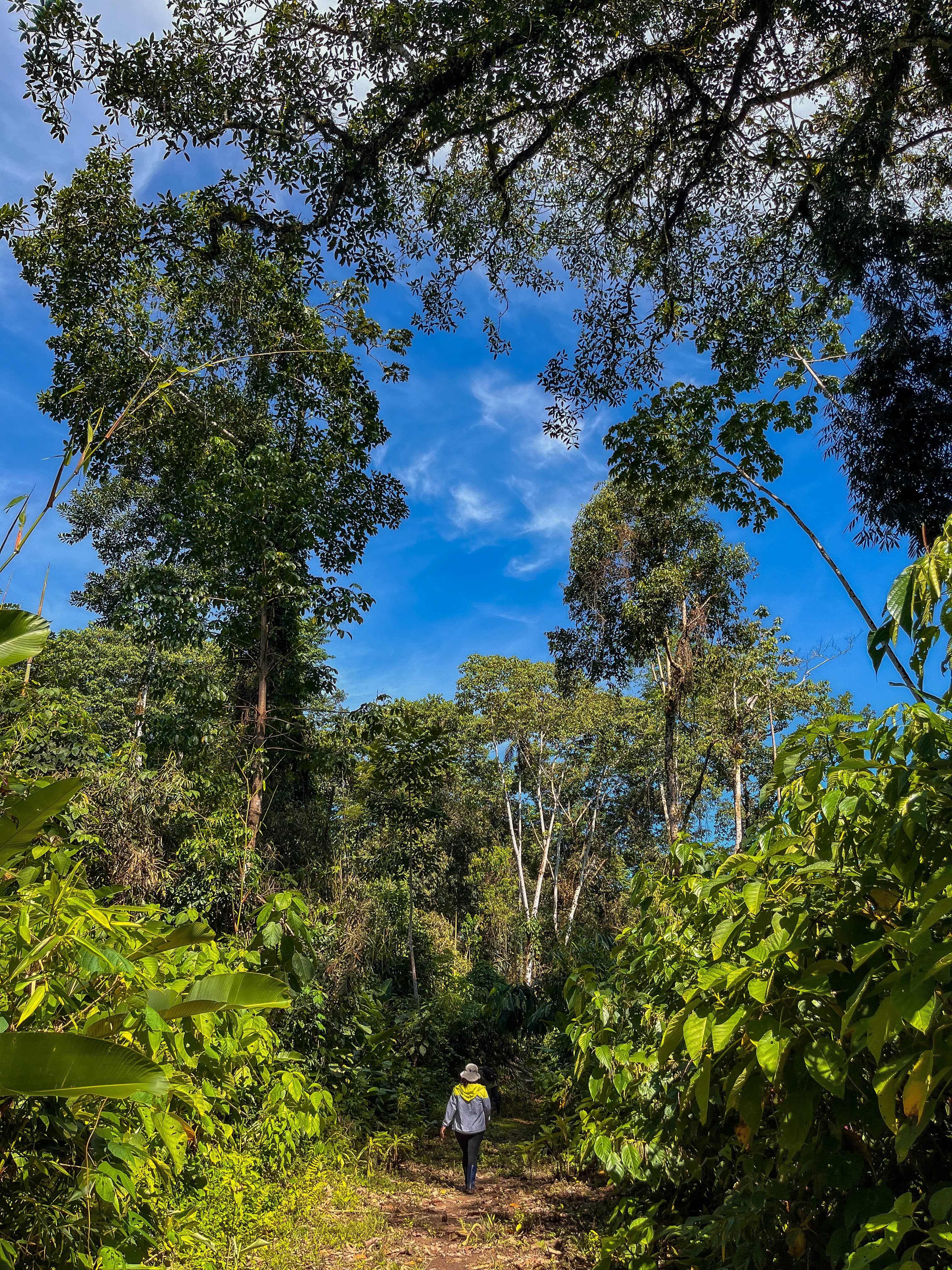 Saringabeni – Paraíso del eterno verano